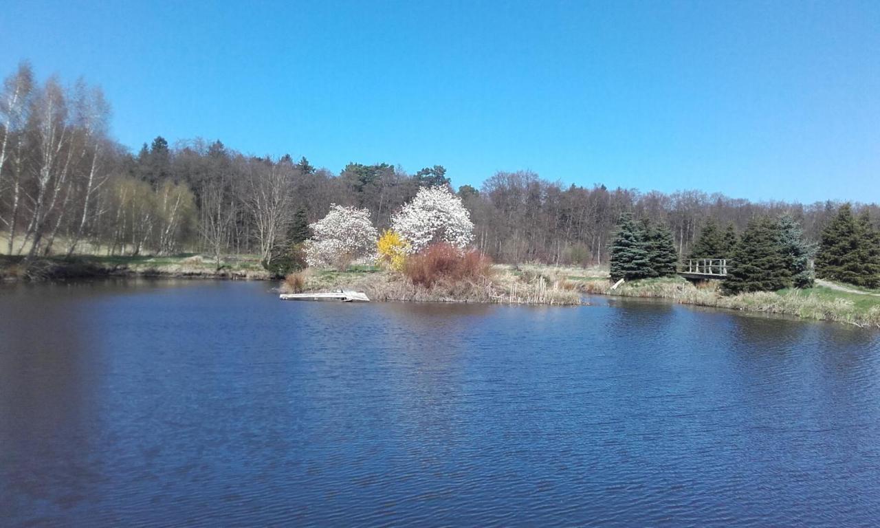 Marka Pokoje Goscinne Mielno  Exterior foto