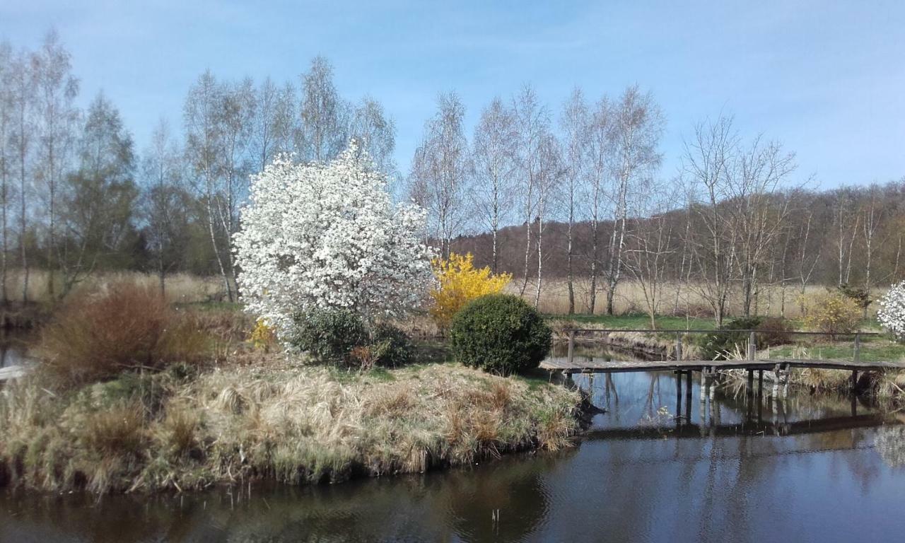 Marka Pokoje Goscinne Mielno  Exterior foto